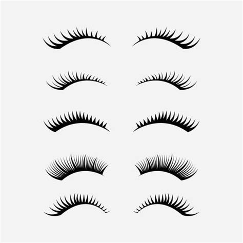 Eyelashes Clipart Set 508665 Vector Art at Vecteezy