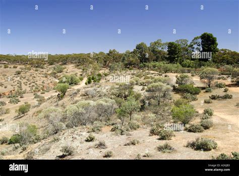 Veld in South Australia Stock Photo - Alamy