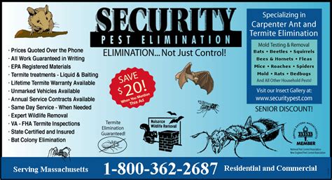 Security Pest Control - Ants, Termites, Bed bugs, Rodent Control in MA