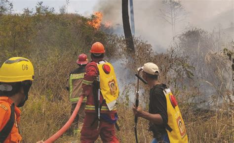 Kebakaran Hutan Di Gunung Guntur Berhasil Dipadamkan Indoposco