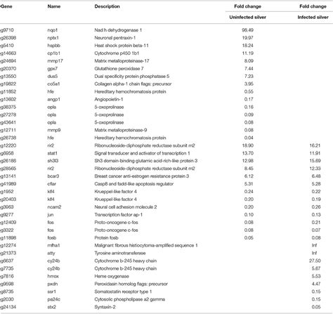 Frontiers Anguillicola Crassus Infection Significantly Affects The