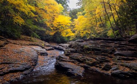 16 of the Most Beautiful Spots to See Fall Foliage in the Laurel ...