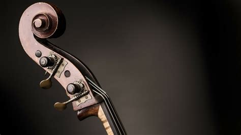 Unlock The Fingerboard Double Bass Neck Heel Method For Great Tuning — Discover Double Bass