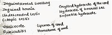 Medicowesome Differentials Of Inguinoscrotal Swelling