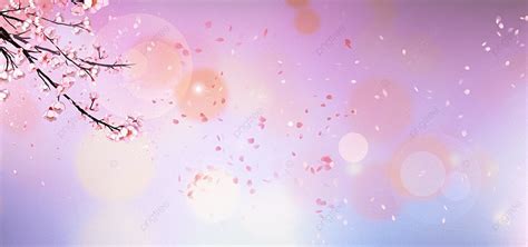 Cherry Blossom Romantic Beautiful Gradient Purple Background Cherry