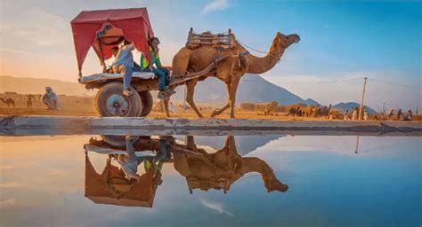 Pushkar Camel Fair – Largest camel fairs in the world – Varun Voyages ...