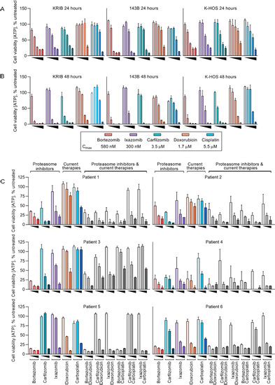 Cancers Special Issue Rare Childhood Malignancy