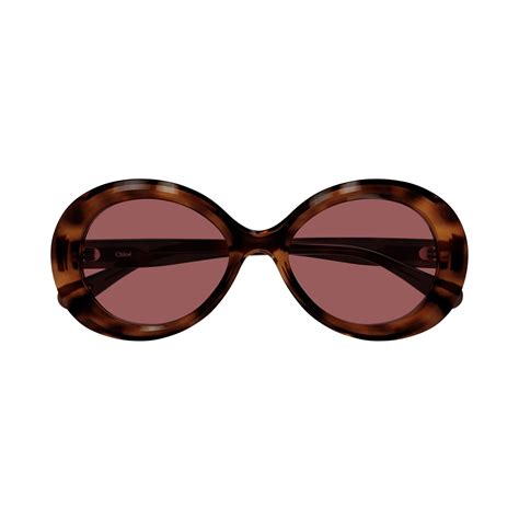 Chloe Ch0051s 005 Havana Sunglasses Woman