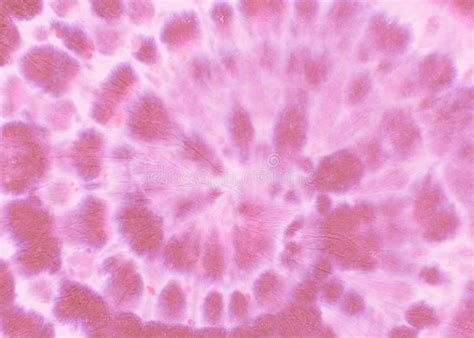 Girly Tie Dye Spiral Nude Batik Pattern Stock Image Image Of Geometric Boho 196054893