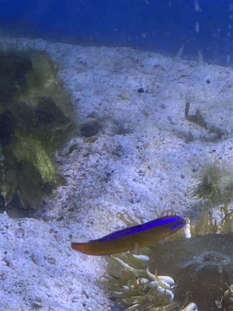 Gallery - Aquarium Pros VA