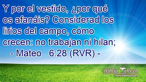 Mateo 628 Rvr Y Por El Vestido ¿por Qué Os Afanáis Con