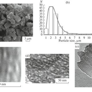 Sem Images Of Boehmite Particles Obtained By The Hydrothermal Treatment