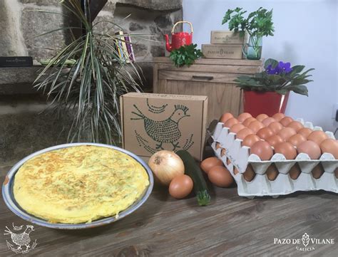 Tortilla de calabacín y cebolla Receta Pazo de Vilane