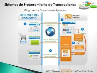 Tipos De Sistemas Transaccionales Ppt