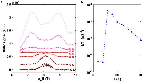 Nmr Measurements Performed On The X Sample A Field Swept Nmr