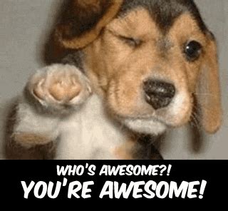 Populer 30+ Giphy Awesome