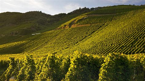 Wetter Kroatien Wettervorhersage Wetterkarte Heute Wetterde
