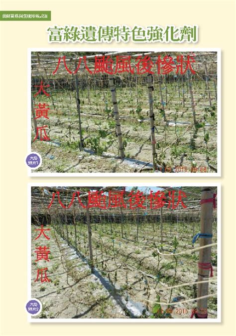 遺傳特色強化劑農作物栽培管理、植物栽培管理、葉面噴灑有機肥料、根部澆灑有機肥料、農作物新陳代謝劑、植物營養劑 富綠信息植物基因科技有限公司