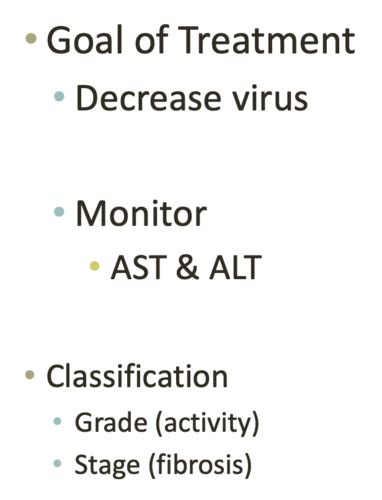 Hepatitis Flashcards Quizlet