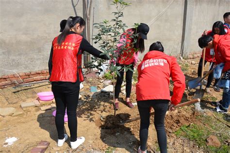 学做雷锋 爱心植树 巢湖学院经管青协开展植树活动