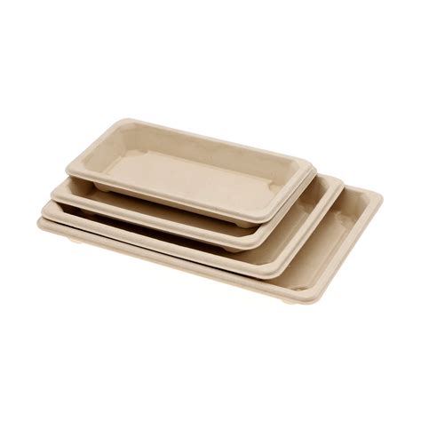 Disposable Bagasse Package Container Food Packaging Sugarcane Pulp