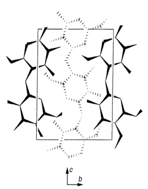 Projections Of Cellulose Ii Fibre Unit Cell Sarko And Muggli 1974