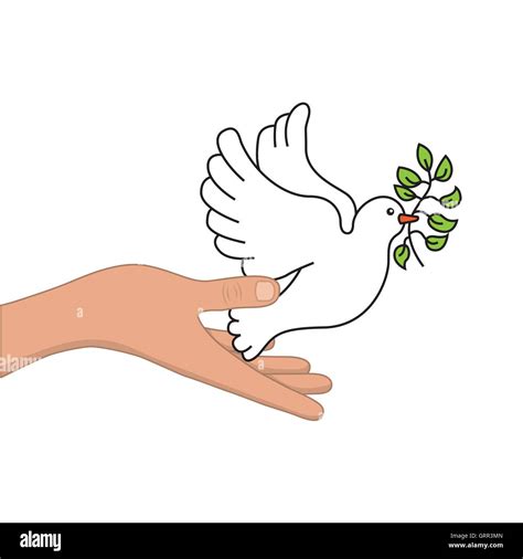 Peace Dove With Olive Branch Stock Vector Image And Art Alamy