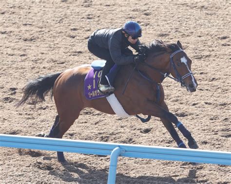 ソールオリエンス 田辺を背に中山記念の1週前追い切り 手塚師「動きは良かった」 競馬ニュース Netkeiba