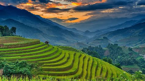 Campos de arroz al atardecer arroz esplendor montañas naturaleza