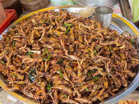 Mexican Chapulines Deep Fried Grasshoppers Recipe Travel Food Atlas