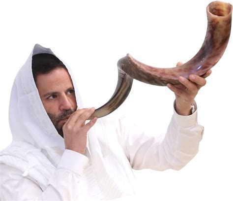 Kosher Kudu Shofar Horn From Israel 20” 24” Traditional Half Polished