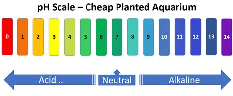 The Ultimate Guide: 7 Critical Aquarium Water Parameters