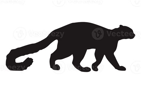 Cat Silhouette On Transparent Background Png