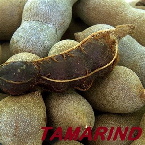 Fresh Tamarind Packaging Packet Rs 100 Kilogram Vishal Fruit Stall