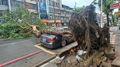 快訊／高雄午後狂風暴雨！建國路樹連根拔起 橫倒毀車 Tvbs Line Today