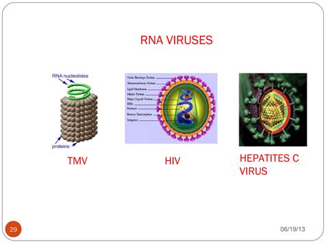 Dna as genetic material | PPT