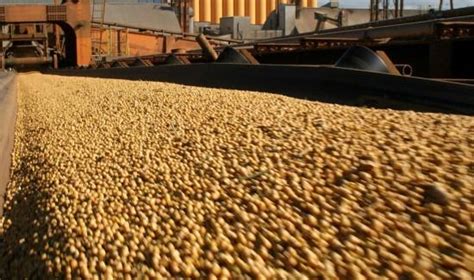 Per Import Soya En Grano Por Us Millones Entre Enero Y Abril De