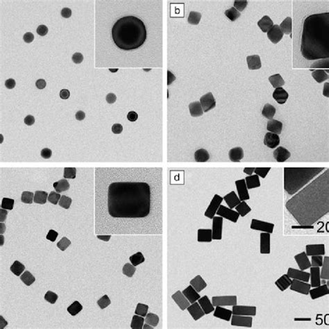 PDF Shape Controlled Synthesis Of Metal Nanocrystals