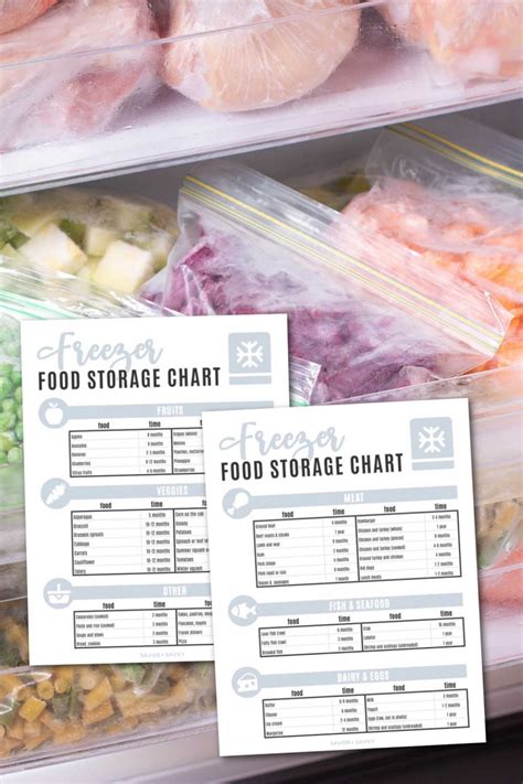 Freezer Tips 101 Free Printable Freezer Storage Times Savor Savvy