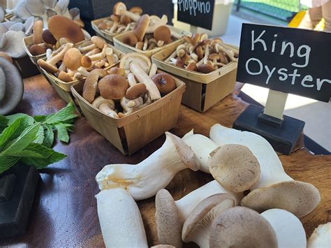 mush love black forest mushrooms supporting local food banks