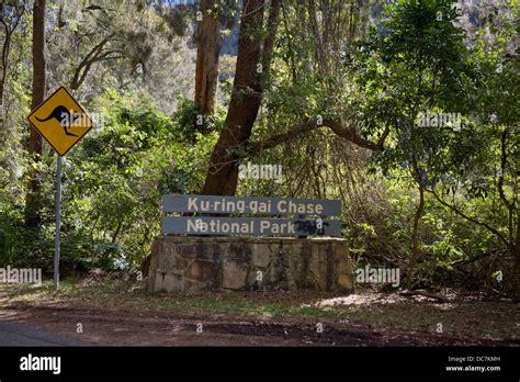 Ku Ring Gai National Park Hi Res Stock Photography And Images Alamy
