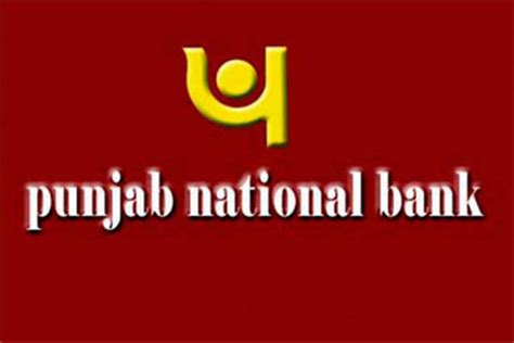 Pnb Puts Up For Sale Bad Loans Worth Rs 295 Crore