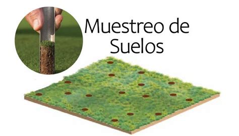 Muestreo de suelos guía paso a paso Descarga PDF Infoagronomia