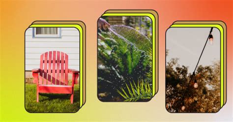 enjoy  texas front yard