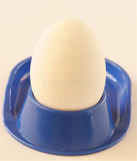egg   stand stock photo image  food stand breakfast