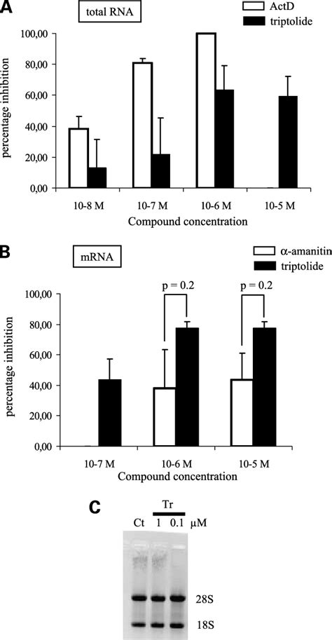 Triptolide Inhibits Synthesis Of Both RRNA And MRNA A And B A549