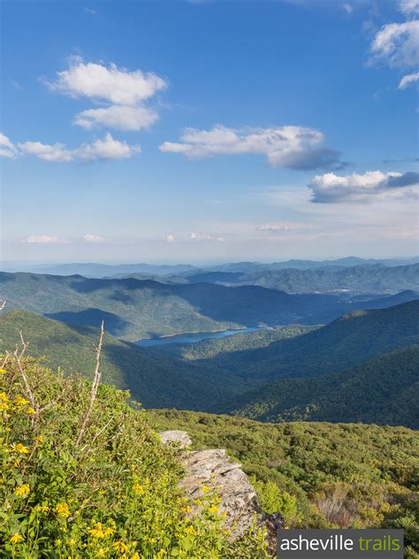 Wildflowers Stretch To Catch The Ample Sunlight On The Craggy Pinnacle