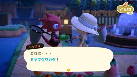 ＜画像2525＞カブトムシやセミが出現する7月に捕まえたいムシは？【あつ森日記＃210】 電撃オンライン