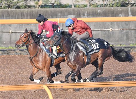 【桜花賞】リバティアイランド 2歳女王の風格たっぷり 段違いの脚力でラスト鋭伸 競馬ニュース Netkeiba