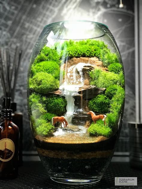 Pin by Виктория on Terrarium Scene Garden terrarium Terrarium How